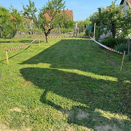 Guest House Lona Golubac Exterior foto